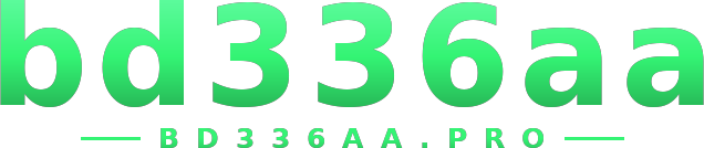 bd336aa logo
